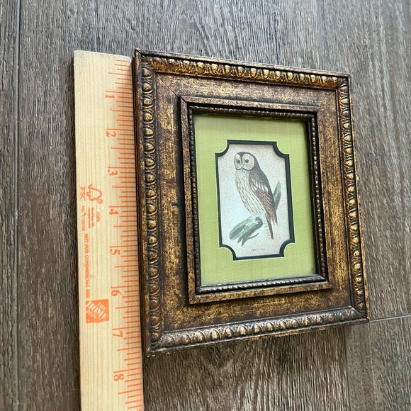 Vintage Gold Framed Owl Art for Bird Lovers - Picture 3 of 10